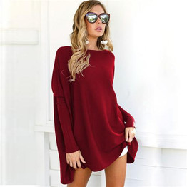 Rogi Long Knitted Sweater Tops Women 2018 Autumn Casual Loose Batwing Sleeve Knit Sweater Oversized Pullover Jumper Pull Femme