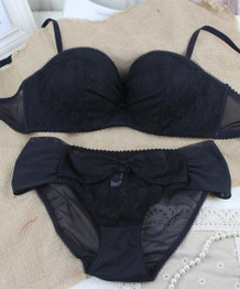 2017 Brand Sexy Lace Embroidery Women Bra Set Underwear Seamless Push Up Bra and Lingerie Set For Woman BS115