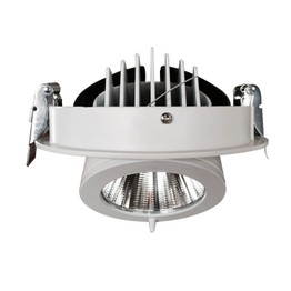 Dimmable LED downlight 10W 15W 25W 30W adjustable 360 Degree led light 3000K/4000K/6000K Recessed Trunk downlight AC85-265V