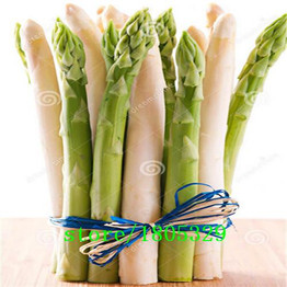 GGG Original Pack 100 Seeds / Pack,Small Bonsai Asparagus Bonsai Tree Seeds Green Asparagus Seeds