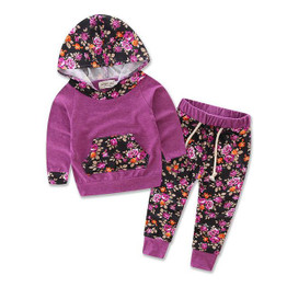 Floral Baby Girl Clothing Set 0-24M: Long Sleeve Hooded Sweatshirt and Pants Outfit for Infants and Newborns