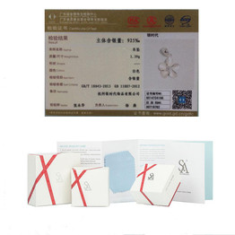 SA SILVERAGE 925 Sterling Silver Flower Long Necklaces Pendants for Women Fine Jewelry 925 Silver Maxi Pendant Necklace Female