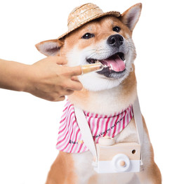 Finger Pet Toothbrush