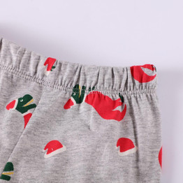 Boys Cartoon Dinosaur Gift Box Pattern Christma Tracksuit Set Boys Boutique Clothing Wholesale