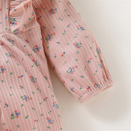 Baby Girls Ruffle Long Sleeve Floral Printed Romper