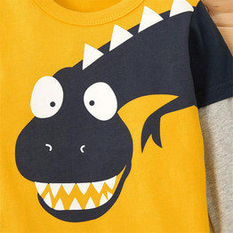 Boys Cute Dinosaur Print Long Sleeve Tees