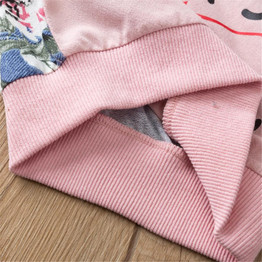Baby Girl Letter Plant Printed Long-Sleeve Top & Pants Baby Wholesale Clothing