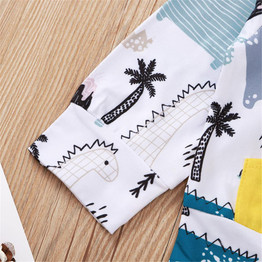 Baby Boys Dinosaur Printed Hooded Top & Pants Baby Clothes Vendors