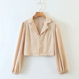 V-neck Puff Sleeve Blouse Shirt