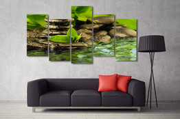 HD Printed 5 Piece Canvas Wall Art Green Leaves Water Sprint Stone Painting