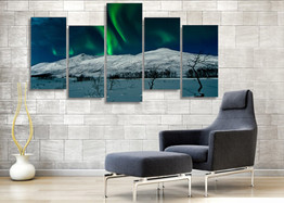 HD Printed Aurora Borealis Scenery 5 Piece Canvas Art Painting Wall Room Home Decor Print Poster