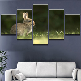 Modern Living Room Canvas 5 Panel Lovely Rabbit Animal Wall Art HD Print Painting Modular Pictures