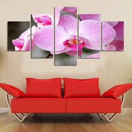 Modern Canvas Painting Wall Art Pictures 5 Pieces Blooming Bright Butterfly Orchid Flower Poster