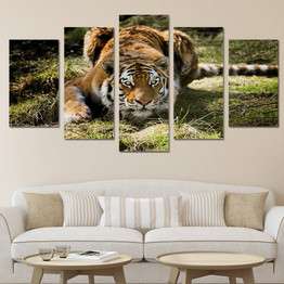 Wall Art Pictures Posters 5 Pieces Animal Jungle Tigers HD Printed Modern Painting On Canvas