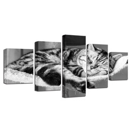 Modern Wall Art Poster Pictures 5 Panel Cat Canvas HD Print Painting Modular