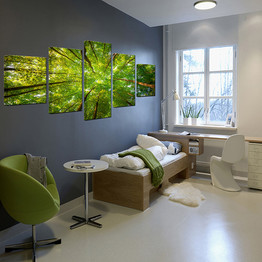 Modern HD Canvas Printed Pictures 5 Panel Woods Landscape Painting Modular Wall Art Poster