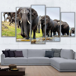 Art Picture Modern Posters Wall 5 Panel Animal Elephants Landscape Printed HD Modular Painting