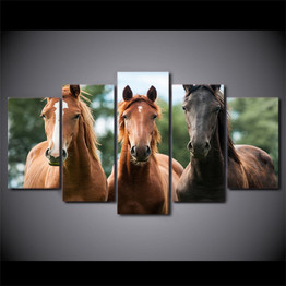 Wall Art Canvas Painting 5 Piece HD Print Brown Horse Race Posters and Prints  Animal Canvas Art Home Decor