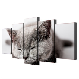 Canvas Wall Art Pictures HD Printed Cute Animal Painting Modern 5 Pieces Sleeping Gray Cat Poster