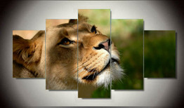 5 Pieces Grassland Animal Lion Modern Painting Canvas Art HD Print Painting Canvas Wall Picture