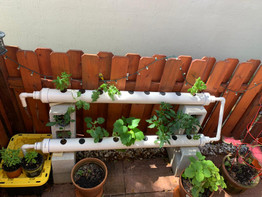 Hydroponic Farming NFT Garden Pipe System