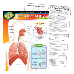 The Human Body–Respiratory System Learning Chart