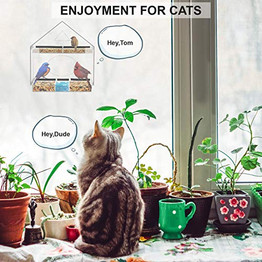 Window Bird Feeder Weatherproof -Acrylic