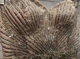 TAN/SILVER EVENING GOWN