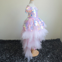 Princess Girl's Birthday Party Dress Flower Girl Dress Pageant  Ball Gown