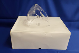 SUNGLASSES (CLEAR SHEILD)