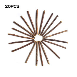 15 & 20pc Natural Catnip Cat Toothpaste Stick, Matatabi Actinidia Silvervine, Cat Snacks Sticks, Pet Cleaning Teeth