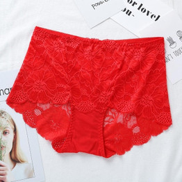 Underwear Women Plus Size Sexy Lace Panties Transparent Briefs Seamless