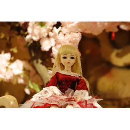 Barbie Princess Girl Dolls Baby Doll Magic City doll (Pirate Princess1)