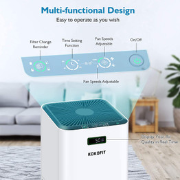 Air Purifier for Home.
