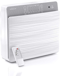 H13 HEPA Filter Smart Air Purifier with Air Quality Sensor.