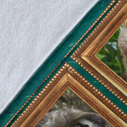 Sloth Picture Frames 3D Fleece Blanket Sloth Bedroom Collection Gifts For Sloth Lovers