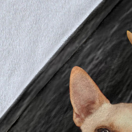 Funny Chihuahua Blanket Dog Lover Gifts Bedroom Decor