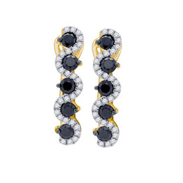 Earrings |  10kt Yellow Gold Womens Round Black Color Enhanced Diamond Hoop Earrings 1 Cttw |  Splendid Jewellery