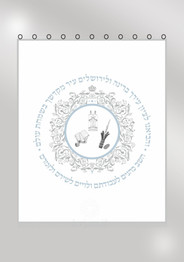 Parochet Ark Curtain- White Circle