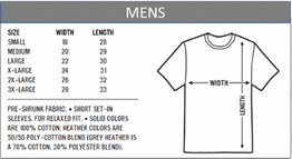 Lion Spirit T-Shirt (Mens)