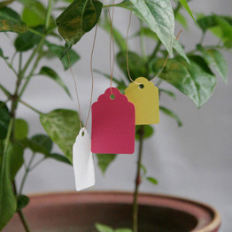 50pcs Gardening Plant Waterproof Hanging Tags Flower Vegetable Planting Label Tools