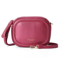 WEICHEN 2020 Designer Luster Leather Shoulder Bag Women Handbag Fashion Small Messenger Bag Ladies Crossbody Bags Sac Hand Bag