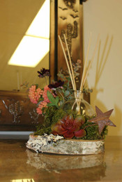 "Lone Star" Room Diffuser