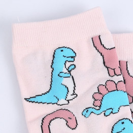Delicate Dinosaur Socks - 1 Pair