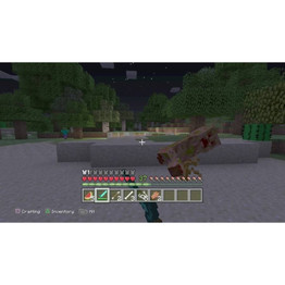 Minecraft (PS3)