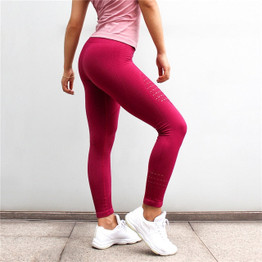 Seamless Fitness High Waist Yoga Pants Legging