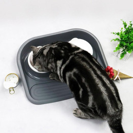 Double Bowl Dog Feeders