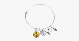 November Birthstone Charm Bangle