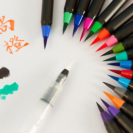 Art Marker Watercolor Watercolor Brush Pens (20 Piece Set)