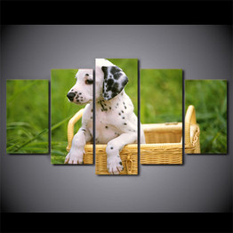 HD Printed 5 Piece Canvas Art Cute Pet Dalmatian Painting Canidae Poster Wall Pictures for Living Room Free Shipping NY-6965A